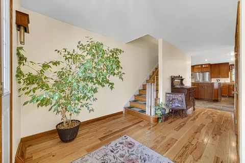 245 Mary St, Dyer, IN 46311 photo 20