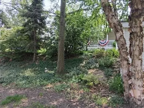 245 Mary St, Dyer, IN 46311 photo 35