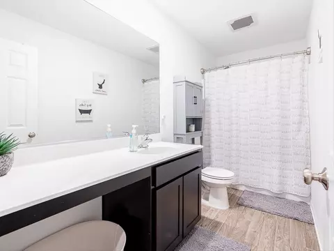 Bath - 10377 Nevada Ct, Crown Point, IN 46307 photo 3 of 3