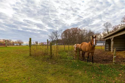 Other - 9301 E Division Rd, Mill Creek, IN 46365 photo 10 of 21