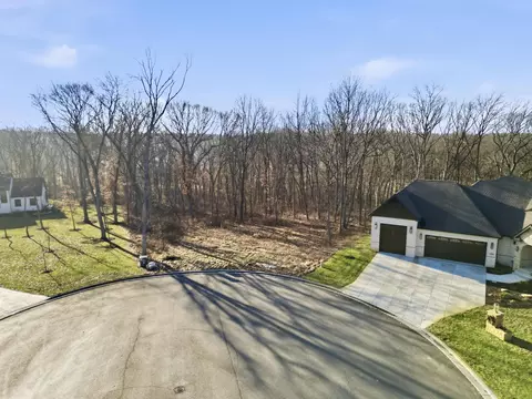 4398 Willard Ln, Lowell, IN 46356 photo 5