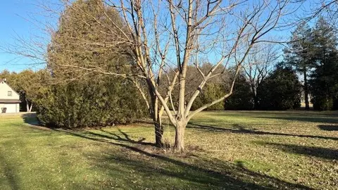 924 Fillmore St, Shelby, IN 46377 photo 9