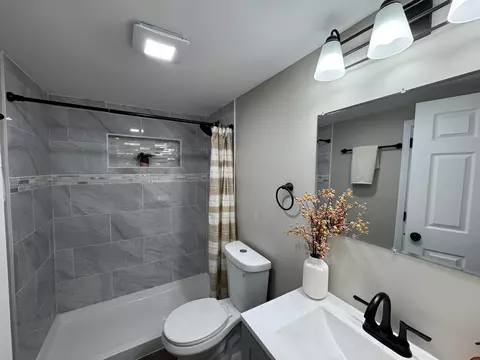 Bath - 1608 Tulip Ln, Munster, IN 46321 photo 5 of 6