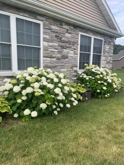 Exterior - 1781 Kelly Ct, Wheatfield, IN 46392 photo 3 of 10