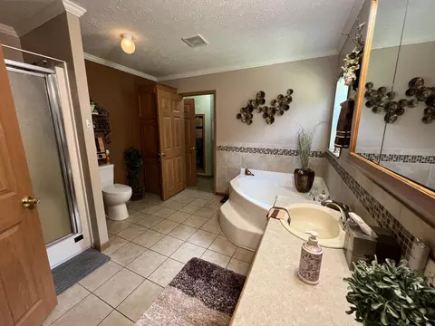 10901 N 555, De Motte, IN 46310 photo 27