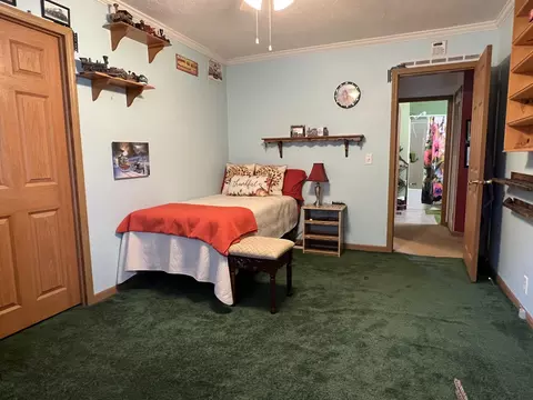 10901 N 555, De Motte, IN 46310 photo 17