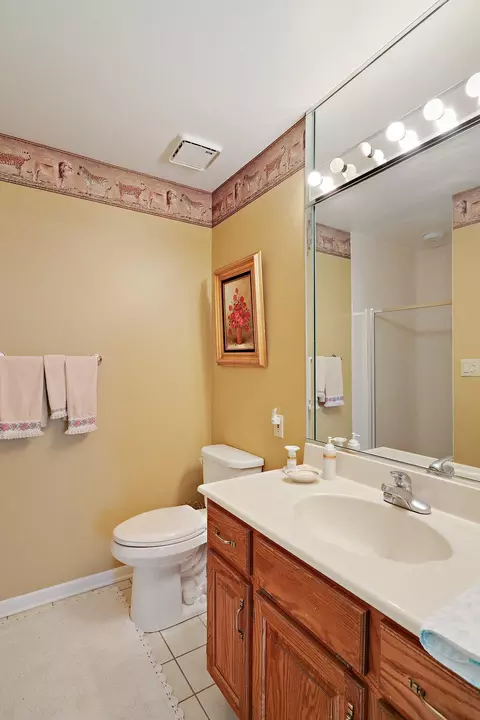 Bath - 955 Killarney Dr, Dyer, IN 46311 photo 9 of 10