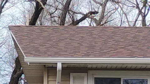 4308 E 5th Pl, Gary, IN 46403 photo 3