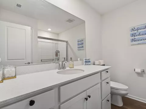Bath - 1785 E 110th Pl, Crown Point, IN 46307 photo 3 of 4