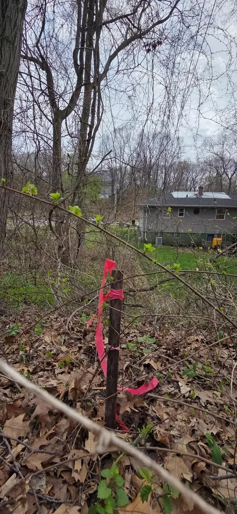 7506-10 Indian Boundary, Gary, IN 46403 photo 5