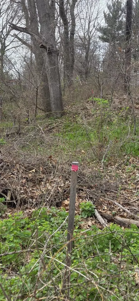 7506-10 Indian Boundary, Gary, IN 46403 photo 6