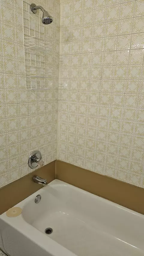 Bath - 4445 Jackson St, Gary, IN 46408 photo 2 of 2