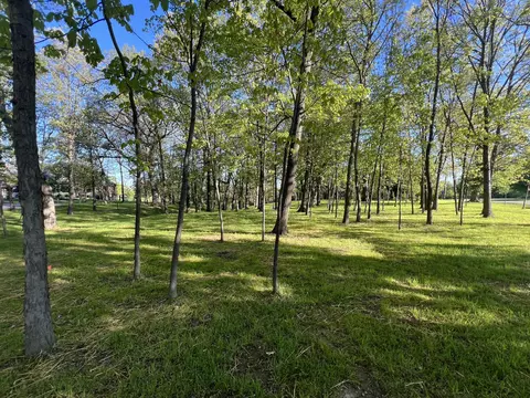 12850 W 102nd Ave, Saint John, IN 46373 photo 3