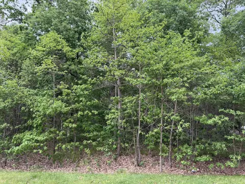 Vacant Lot 565, De Motte, IN 46310