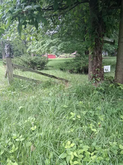 lot087 S Deer Path Dr, Bass Lake, IN 46534 photo 2