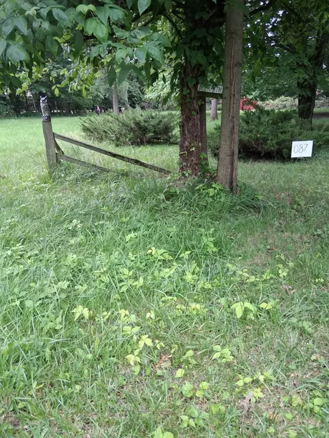 lot087 S Deer Path Dr, Bass Lake, IN 46534 photo 5