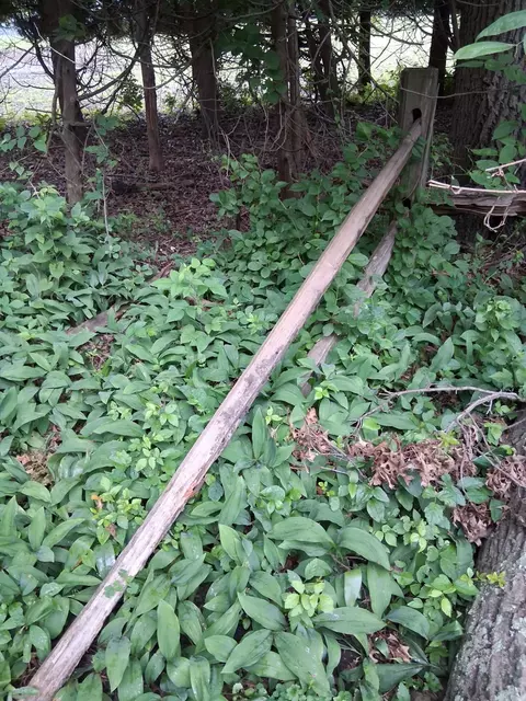 lot087 S Deer Path Dr, Bass Lake, IN 46534 photo 4