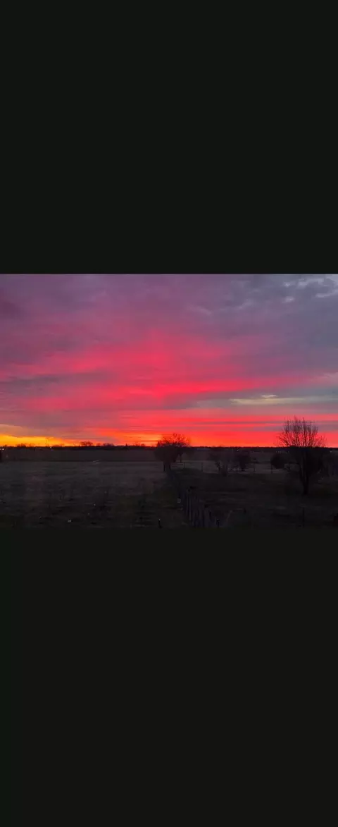 Other - 11493 Stateline Rd, Dyer, IN 46311 photo 22 of 23