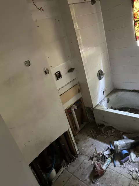 Bath - 305 E 41st Ave, Gary, IN 46409 photo 2 of 3
