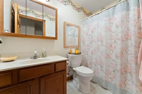 Bath - 10856 N Makeever Dr, De Motte, IN 46310 photo 4 of 4