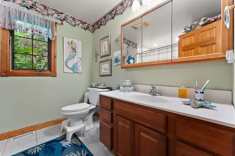 Bath - 10856 N Makeever Dr, De Motte, IN 46310 photo 3 of 4