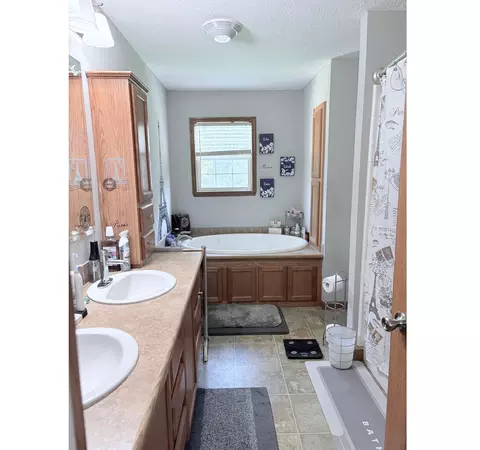 Bath - 1727 W 48th Pl, Gary, IN 46408 photo 3 of 5