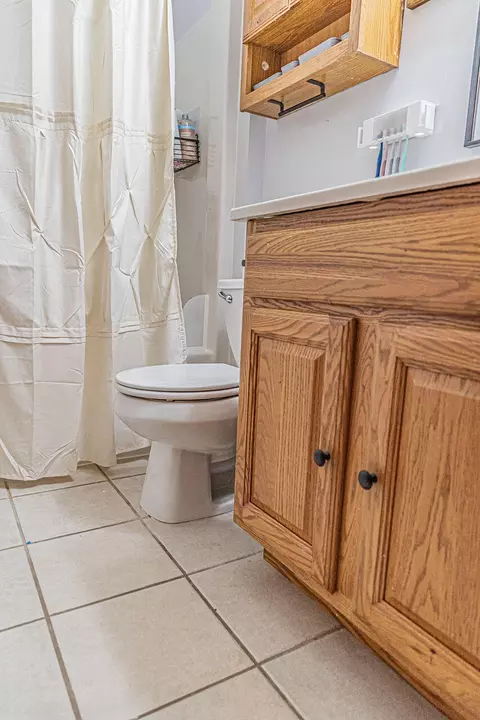 Bath - 340 E 123rd Pl, Crown Point, IN 46307 photo 5 of 5