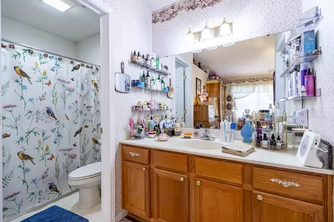 Bath - 668 Ash Ct, Lowell, IN 46356 photo 3 of 3