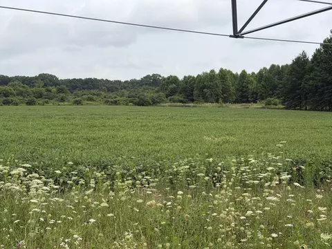 7400 County Line Rd, Grovertown, IN 46531 photo 3