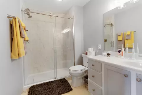 Bath - 810 Pheasant Dr, Crown Point, IN 46307 photo 2 of 3