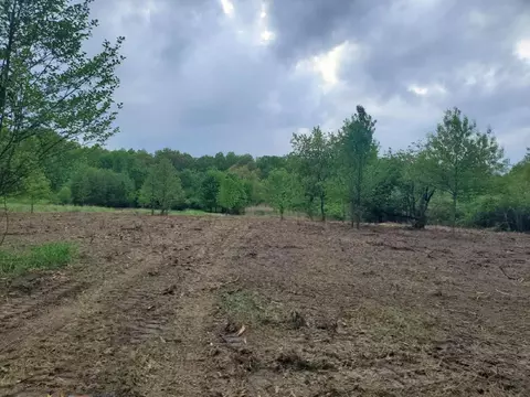 13196 County Line Rd, Crown Point, IN 46307 photo 5