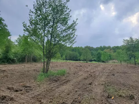 13196 County Line Rd, Crown Point, IN 46307 photo 6