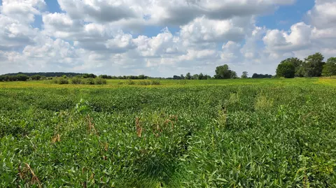 000 N County Road 200, Rensselaer, IN 47978