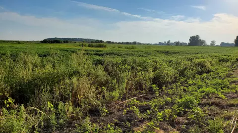 000 N County Road 200, Rensselaer, IN 47978