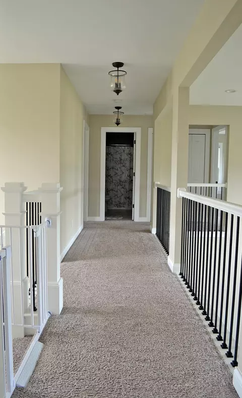 Entry Way - 13366 Waterleaf Dr, Saint John, IN 46373 photo 4 of 9