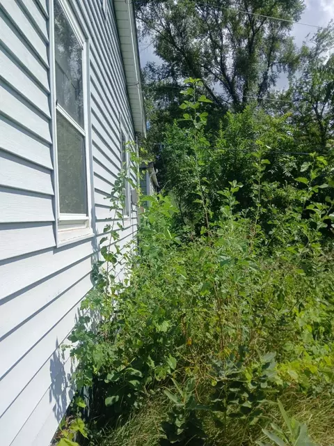 Exterior - 1033 Central Ave, Gary, IN 46407 photo 3 of 3