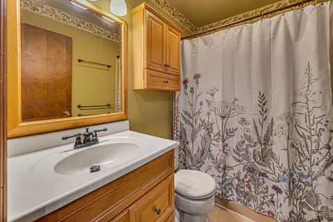 Bath - 8868 Luann Dr, De Motte, IN 46310 photo 3 of 3