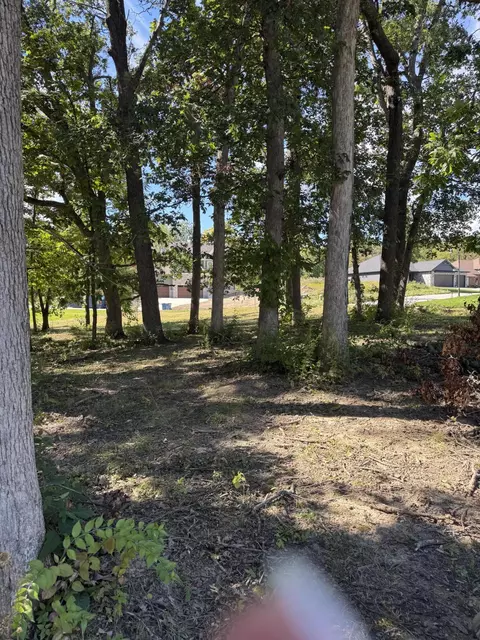 713 Druim Trl, Crown Point, IN 46307 photo 7