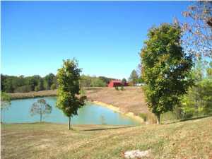 861 King Rd, Pendleton, KY 40055 photo 18