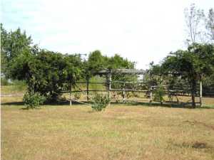 861 King Rd, Pendleton, KY 40055 photo 17