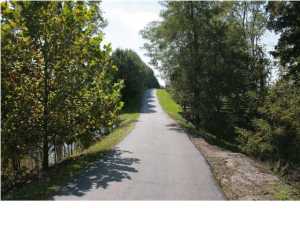 686 Bates Ln, Smithfield, KY 40068 photo 3