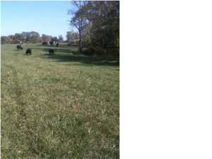 686 Bates Ln, Smithfield, KY 40068 photo 21