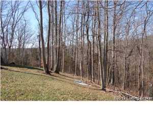 2225 Ridge Rd, Pendleton, KY 40055 photo 20
