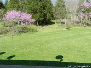 7907 Organ Creek Rd, Pendleton, KY 40055 photo 20