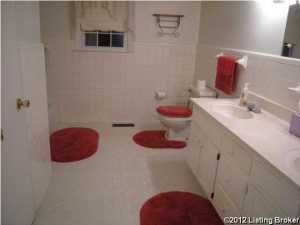 55 Gabes Ln, Loretto, KY 40037 photo 10