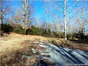 5440 Raywick Rd, Raywick, KY 40060 photo 10