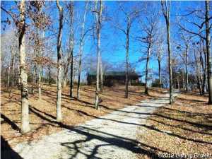 5440 Raywick Rd, Raywick, KY 40060 photo 11
