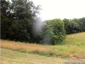 2017 Hickory Camp Rd, Springfield, KY 40069 photo 11