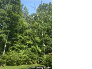 2460 Wolf Pen Rd, Pendleton, KY 40055 photo 17