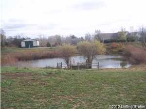 3723 E Hwy 42, Pendleton, KY 40055 photo 10